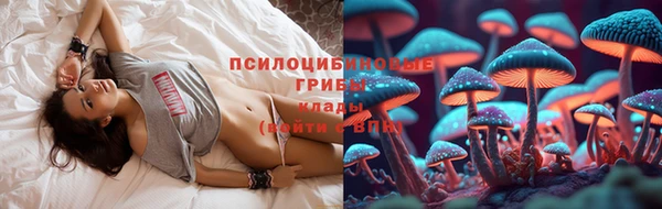 Альфа ПВП Алексеевка