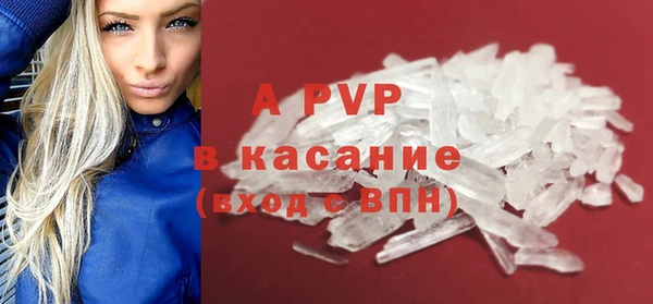 стафф Алзамай