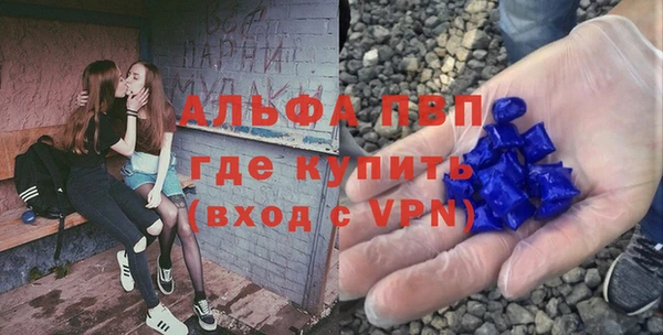 стафф Алзамай