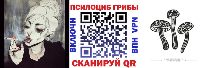 Псилоцибиновые грибы Psilocybe  наркота  Бавлы 